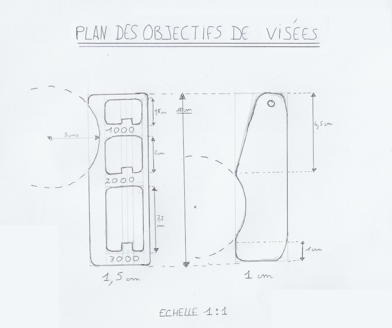 visae110